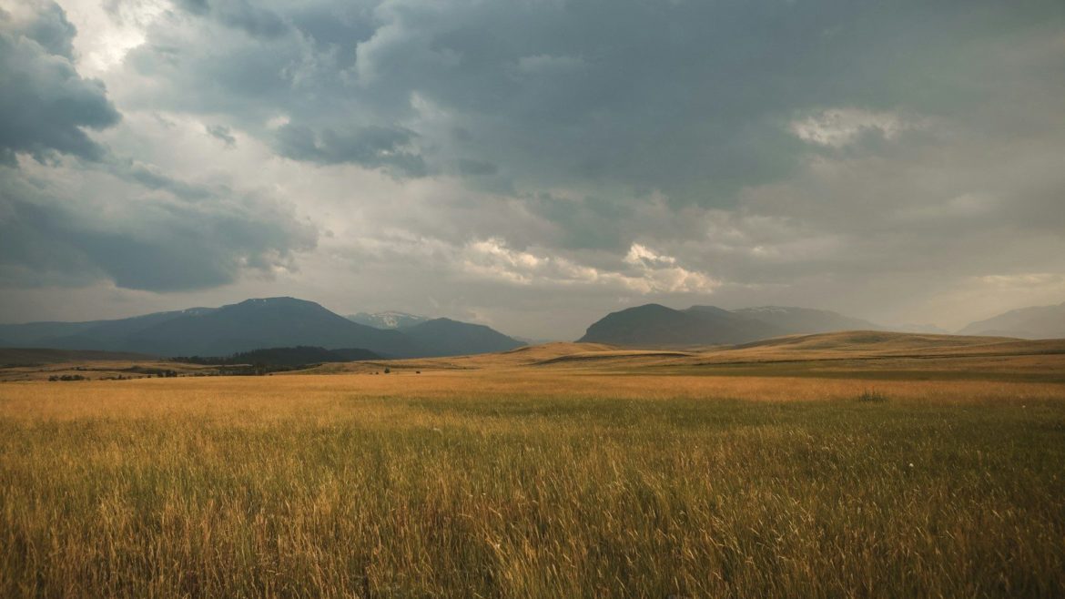 landscape photography of grass plains under cloudy sky during daytime