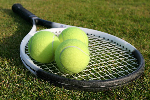 construction court de tennis en gazon synthétique à Poitiers